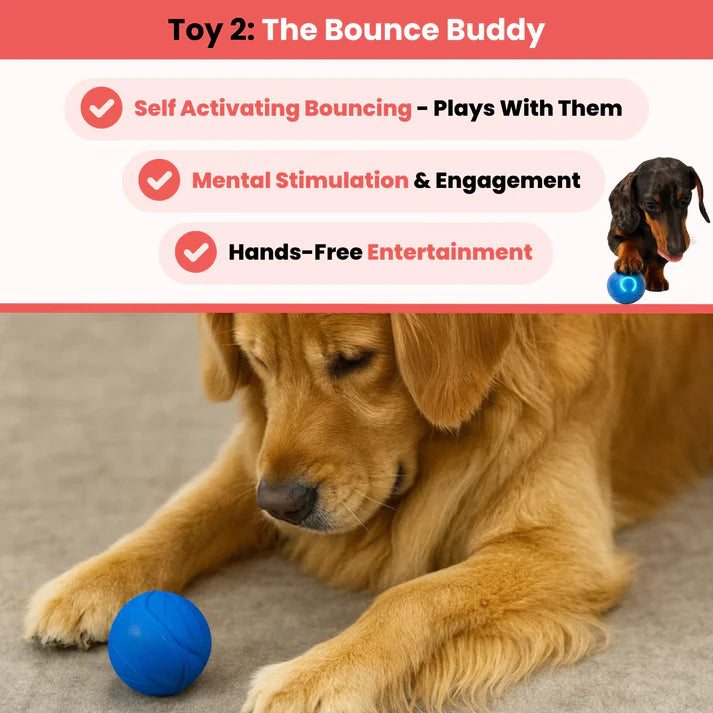 🎁 Limited Time 💨Smart Interactive Pet Ball